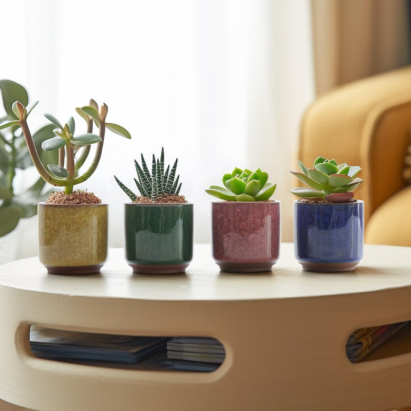 T4U 2.5 Inch Small Ceramic Succulent Planter Pot with Drainage Hole Set of 12, Ice Crack Glaze Plant Container for Cactus, Plant Lover Gifts for Women Mom Coworker Home Office Decor - Image 4