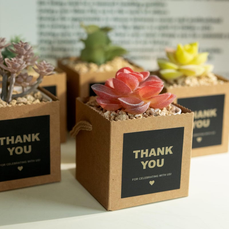 Temlum 2.5 Inch Succulent Wrap Bags (Fits 2.5â€³ Pots) with Thank You & Let Love Grow Stickers, Small Gift Box for Wedding, Baby Shower, Succulent Party Favors for Guests (Brown 40pcs) - Image 4