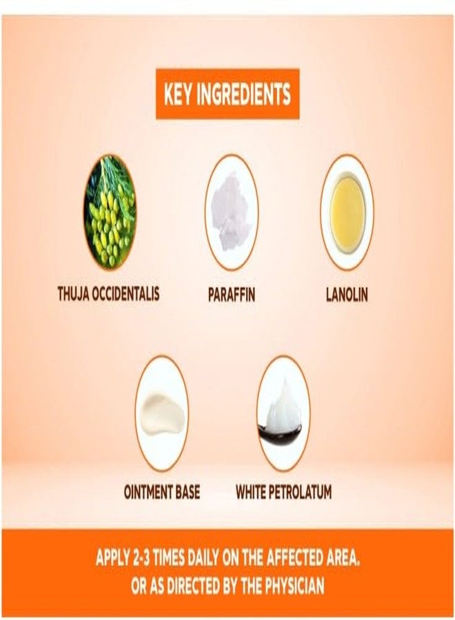 SBL Thuja Ointment|Natural Relief Cream For Warts, Polypi & Tubercles- 25Gm (Pack of 2) - Image 4