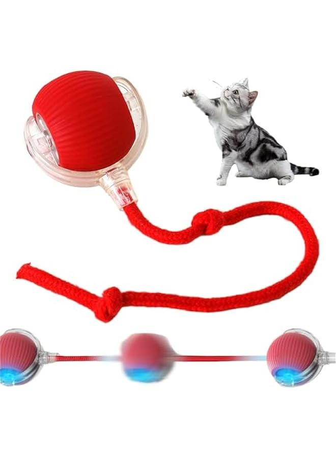 كرة القطط التفاعلية الملونة في الأماكن المغلقة مناسبة للعب عن طريق الكلاب. - Image 1