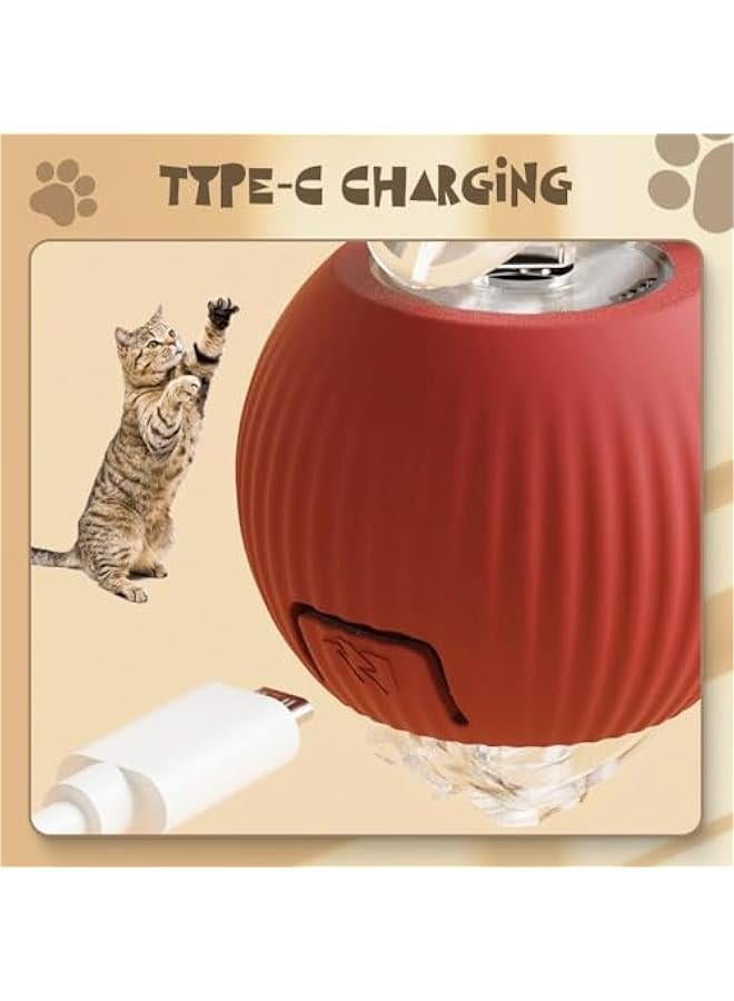 كرة القطط التفاعلية الملونة في الأماكن المغلقة مناسبة للعب عن طريق الكلاب. - Image 4