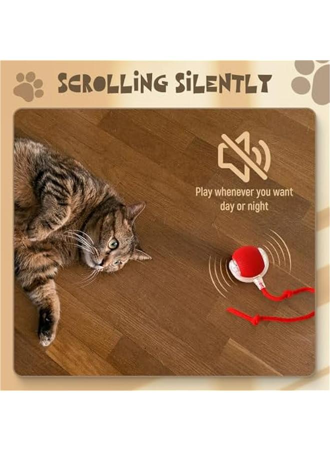 كرة القطط التفاعلية الملونة في الأماكن المغلقة مناسبة للعب عن طريق الكلاب. - Image 5