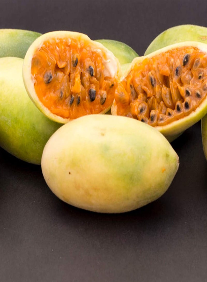 GGOOT 20Pcs/Bag Banana Passionfruit Seeds for Planting,Natural Easy Plant Tropical Climate Bonsai Garden Fruit Seeds for Balcony Grow Your Own Garden - Banana Passion Fruit Seeds - Image 4