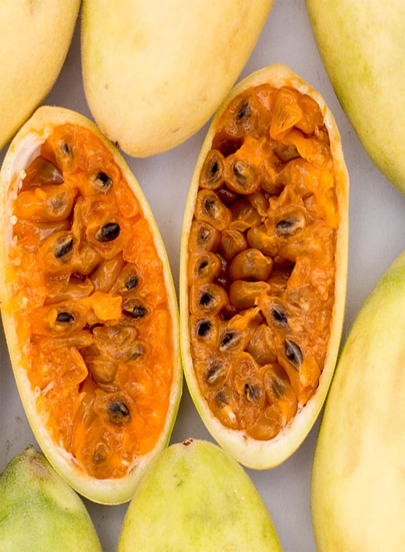 GGOOT 20Pcs/Bag Banana Passionfruit Seeds for Planting,Natural Easy Plant Tropical Climate Bonsai Garden Fruit Seeds for Balcony Grow Your Own Garden - Banana Passion Fruit Seeds - Image 1