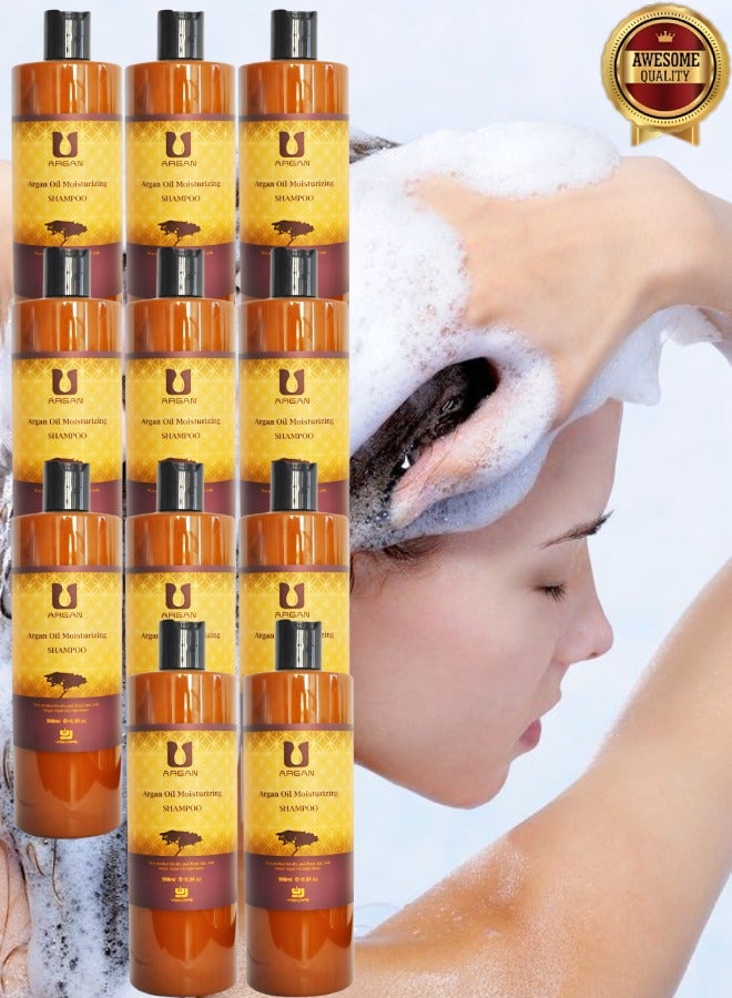 Argan 11 Pieces Argan Oil Moisturizing Shampoo Best Product For Dry And Frizzy Hair 500ml - Image 1