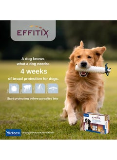 Virbac VIRBAC | Effitix Spot On solution For Medium Dog To control infestations of ticks, fleas, mosquitoes and sandflies (40-60 kg) | 1 Dose  - Image 3