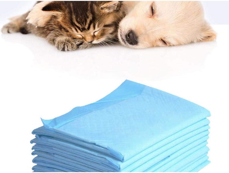 Letuwj Disposable Pet Training Underpads Potty Pee Pads Blue 35 * 24Inch 20Pcs - Image 4