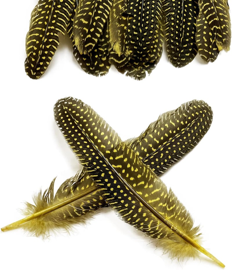 HAPPY FEATHER 6-9 inch Natural Guinea Wing Plumage Feather for DIY Craft, Jewelry and Clothing Decoration Pack of 20-Yellow - Image 3