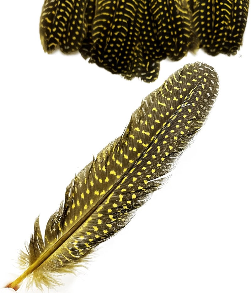 HAPPY FEATHER 6-9 inch Natural Guinea Wing Plumage Feather for DIY Craft, Jewelry and Clothing Decoration Pack of 20-Yellow - Image 4