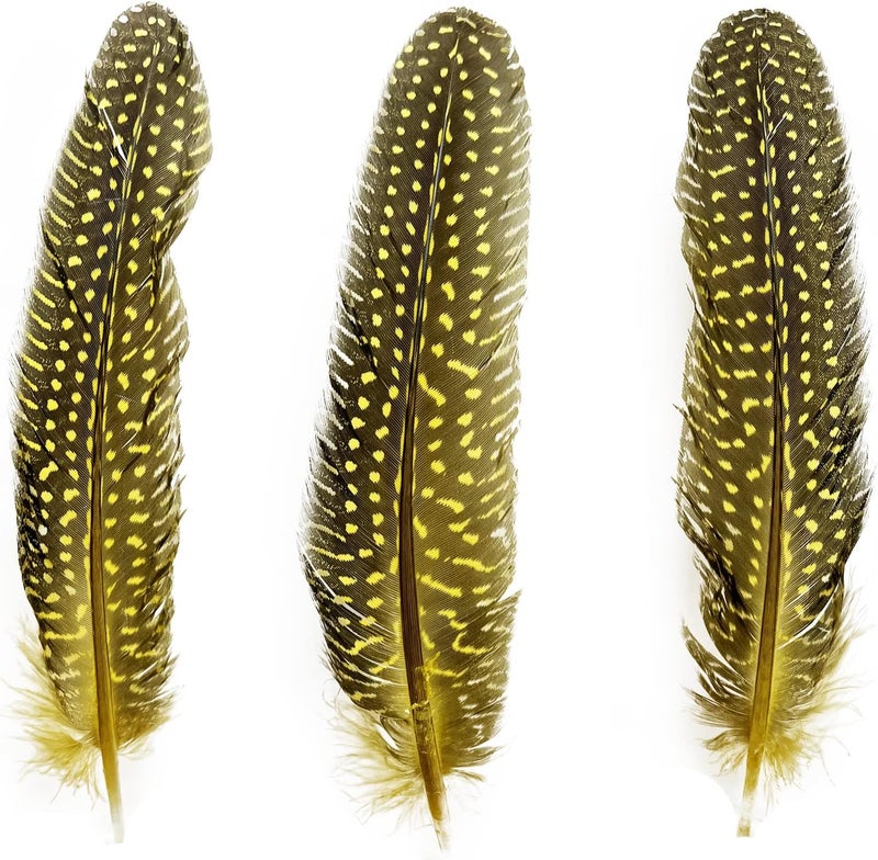 HAPPY FEATHER 6-9 inch Natural Guinea Wing Plumage Feather for DIY Craft, Jewelry and Clothing Decoration Pack of 20-Yellow - Image 2