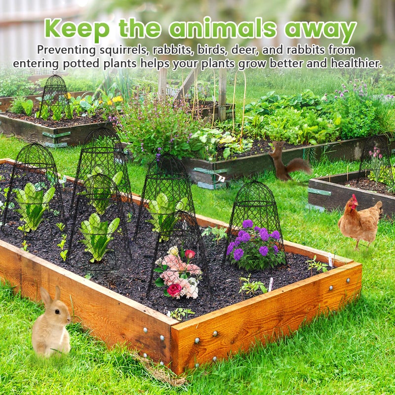 Doksving 6 Pcs Garden Cloches for Plants, Metal Extra Large Chicken Wire Cloche Plant Covers, Garden Netting Plant Protectors from Animals to Keep Squirrel, Rabbit, Chicken and Bird Out 17" H x 13" D Black - Image 5
