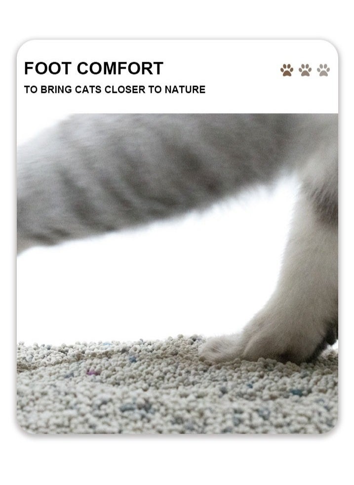 LAZY LADY Cat Litter 20L With Apple Scent - Fast Clumping & Low Dust  - Image 4