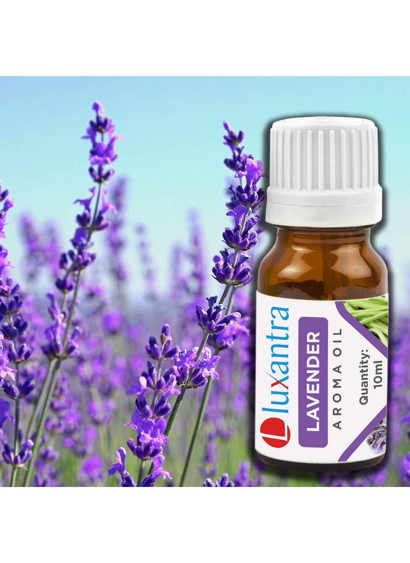 Luxantra Luxantra Ceramic Aroma Diffuser Oil Burner with 2 Lavender Sandalwood Aroma Oil with 2 Tlight Candle Free for Home Office Hotel Spa  - Image 2