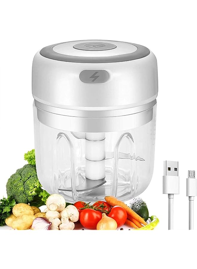 PROMASS Rechargeable Mini Food Chopper, Portable 100ml Vegetable Blender, Food Processor Mincer for Kitchen Vegetable Garlic Grinder (100 ml) (White) - Image 1