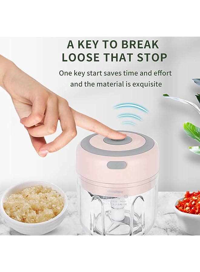 PROMASS Rechargeable Mini Food Chopper, Portable 100ml Vegetable Blender, Food Processor Mincer for Kitchen Vegetable Garlic Grinder (100 ml) (White) - Image 2