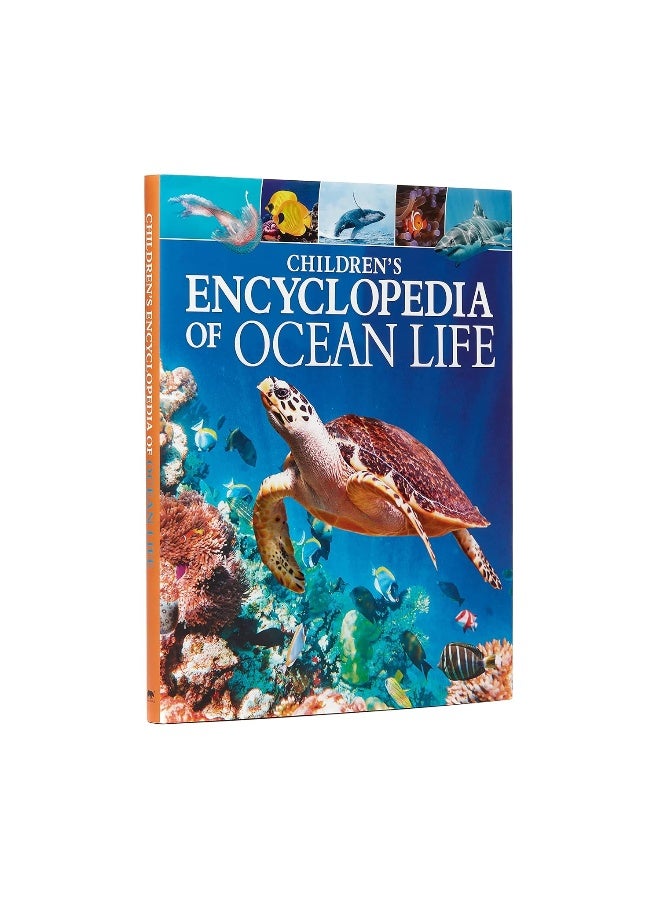 Children's Encyclopedia of Ocean Life - Image 1