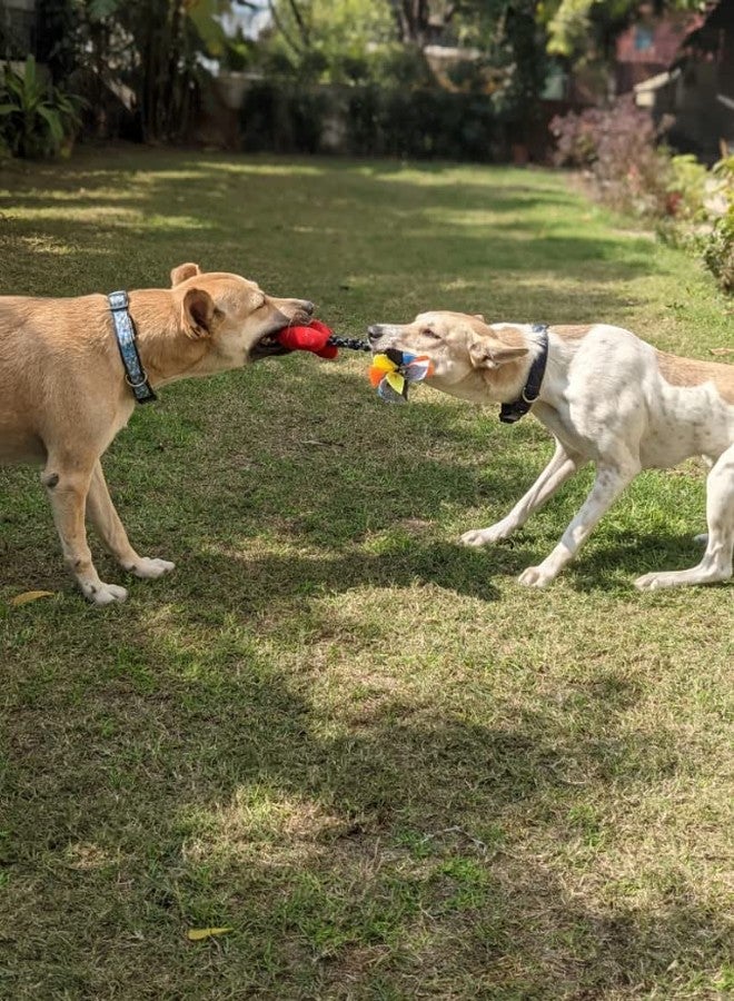 Mutt of Course Cute Cupid Arrow Dog Toys - Image 4