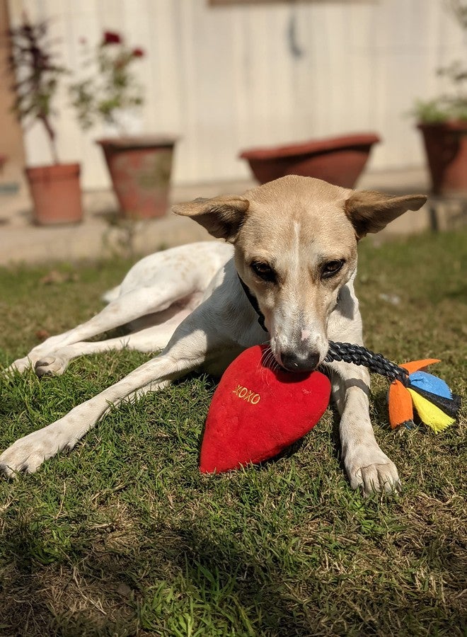 Mutt of Course Cute Cupid Arrow Dog Toys - Image 3