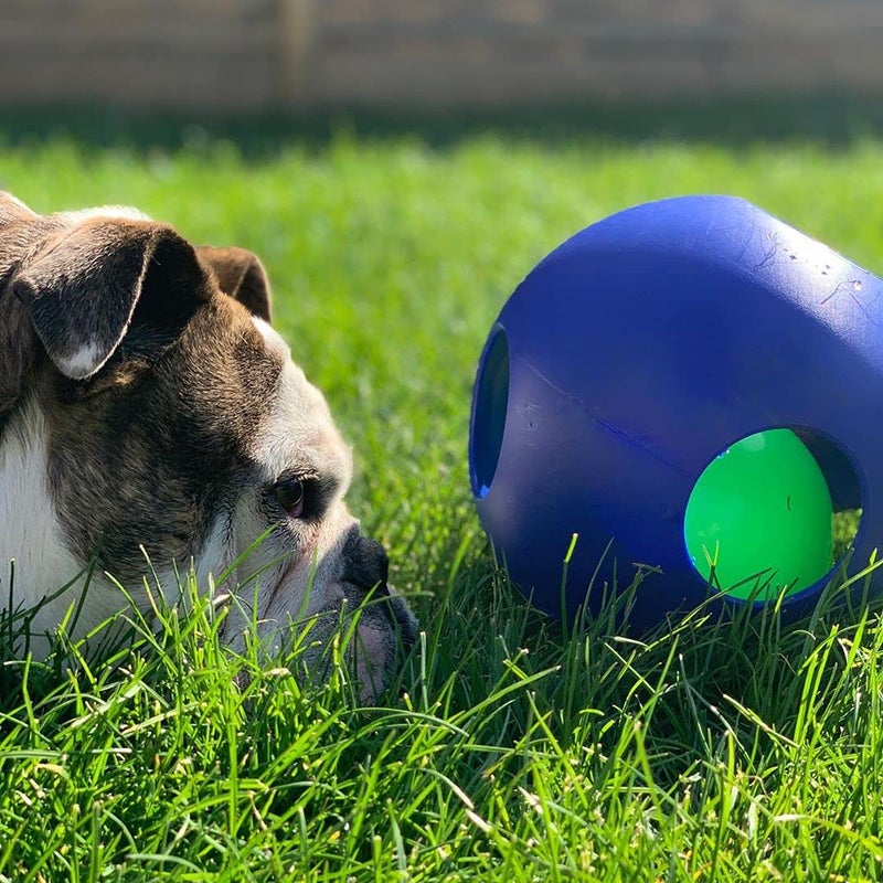Jolly Pets Teaser Ball Dog Toy, Large/8 Inches, Blue, Model Number: 1508 BL - Image 3