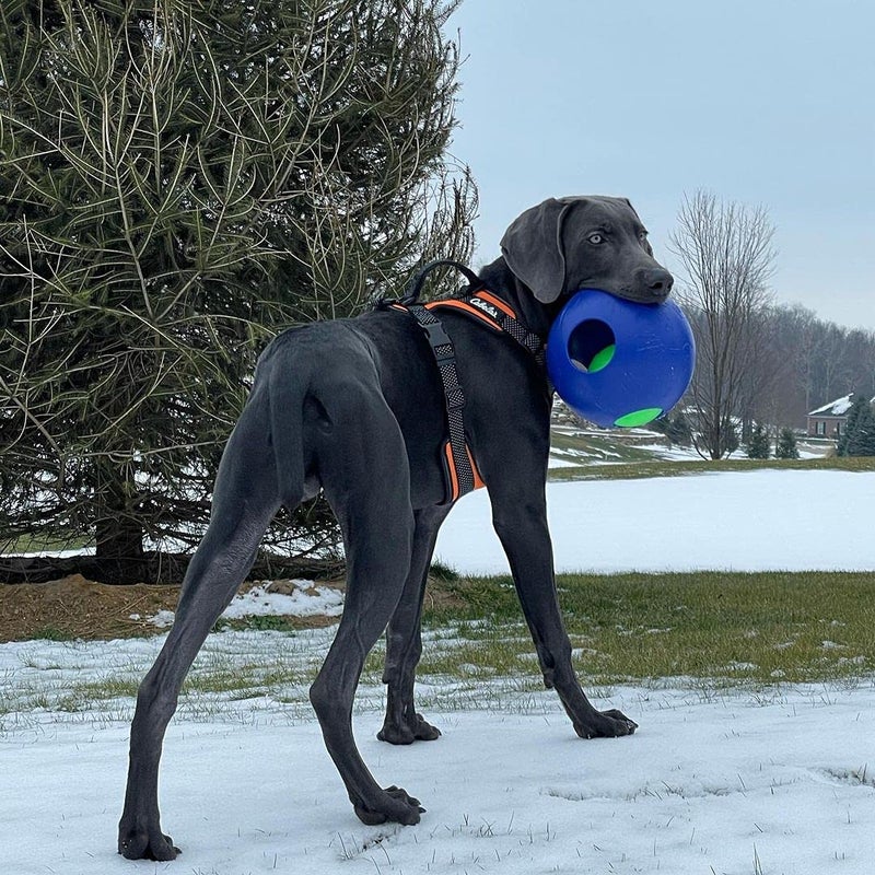 Jolly Pets Teaser Ball Dog Toy, Large/8 Inches, Blue, Model Number: 1508 BL - Image 2