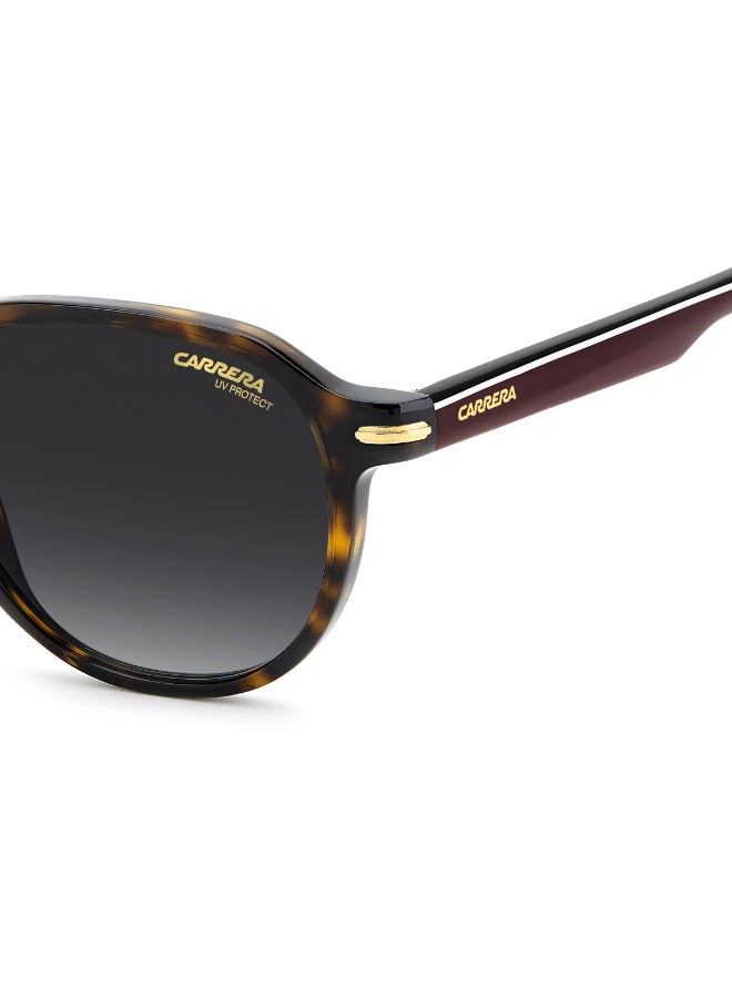 CARRERA CARRERA 376/S Sunglasses Brown Square - Image 5