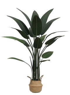 110cm Bird of Paradise Tree