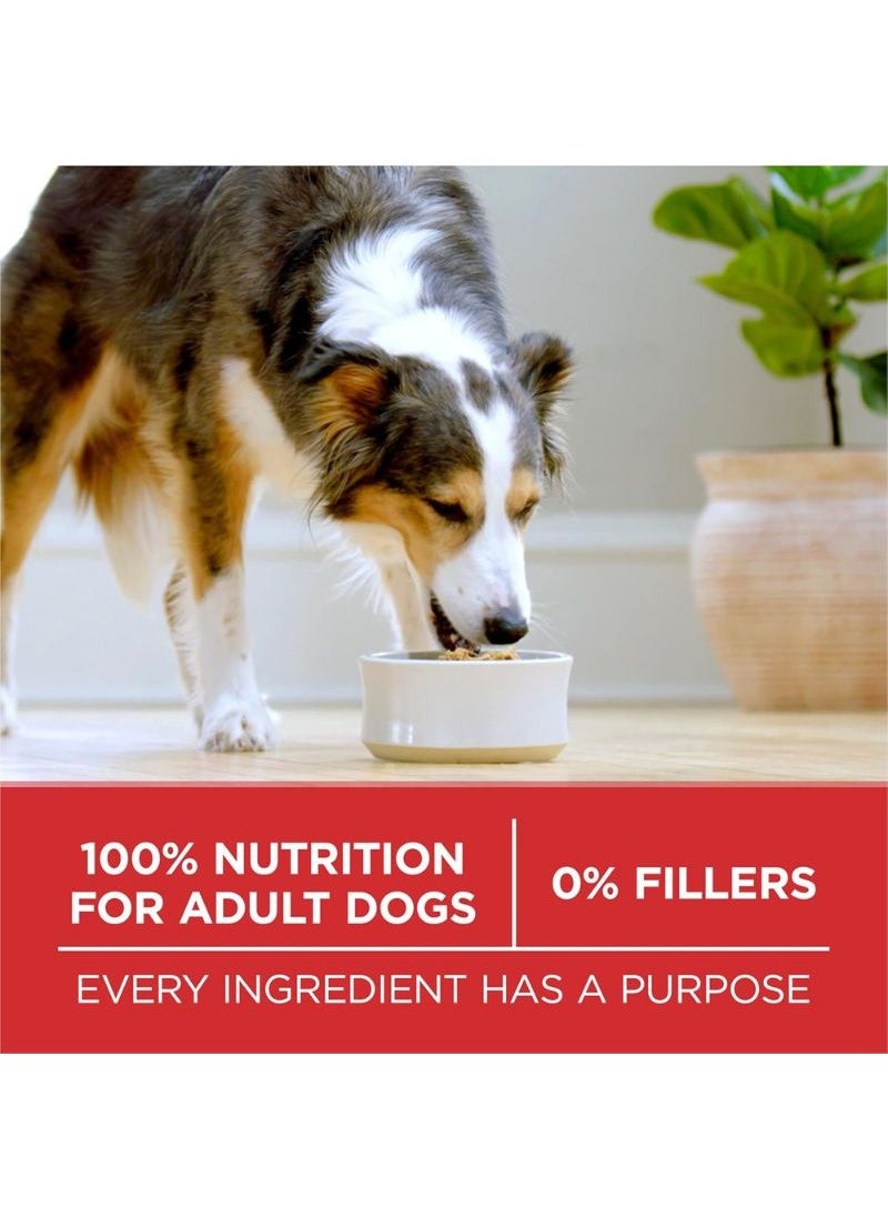 Purina ONE - Chicken & Rice Formula Dry Dog Food 1.36kg - Image 1