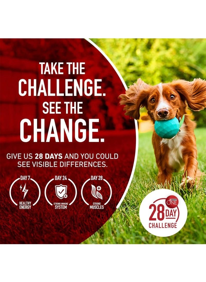 Purina ONE - Chicken & Rice Formula Dry Dog Food 1.36kg - Image 1