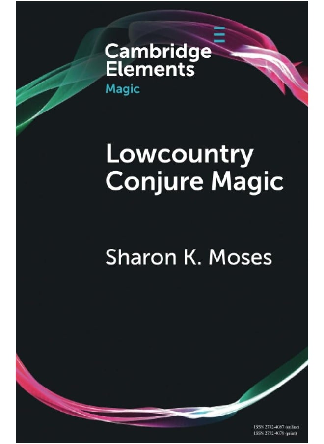 null - Lowcountry Conjure Magic: Historical Archaeology on a Plantation Slave Quarter - Image 1