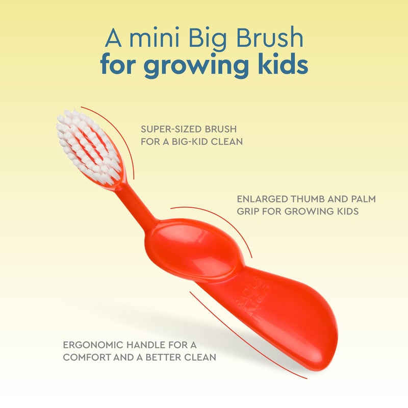 RADIUS Kidz Toothbrush Children's Right Hand BPA Free ADA Accepted Designed to Clean Teeth & Gums for Children 6 Years & Up - Assorted Colors - Pack of 6 - Image 3