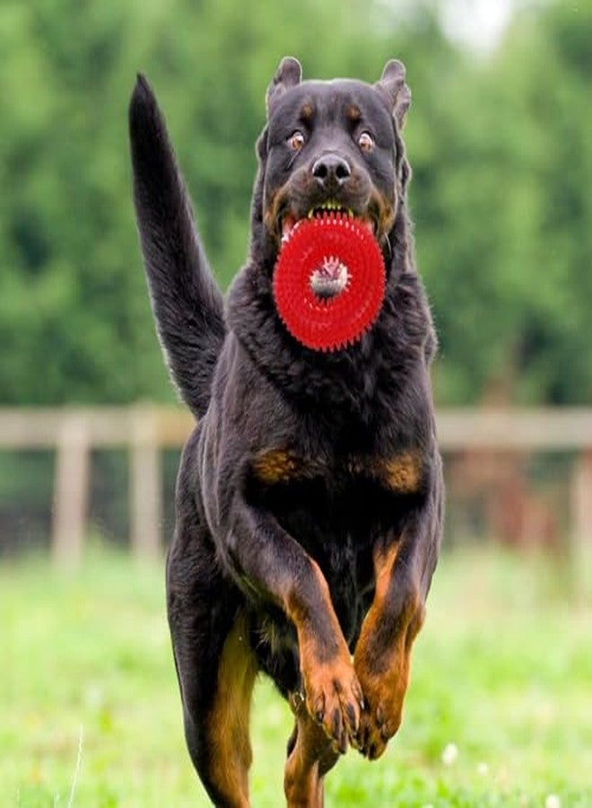 PremiumAV Durable Squeaky Chew Ring with Balls Toys - Non-Toxic Soft Natural TPR Rubber, Puppy Teething & Training Toys for Small Dogs, Interactive Stress Relief & Fetch Toys - Image 4