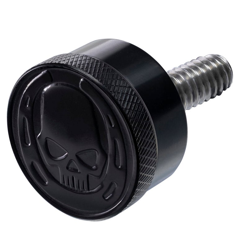 Fenrir Motorcycle Seat Anti Theft Bolt Security Screw Kit 304 Stainless Steel Metal Engraving Skull Horseshoe Motif Compatible with Harley Davidson 1997-Now Sportster Softail Dyna Touring (809-Y010) - Image 1