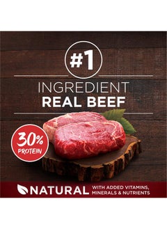 Purina ONE Purina ONE Grain Free Natural High Protein Dry Dog Food Formula True Instinct with Real Beef with Added Vitamins, Minerals and Nutrients - 3 Pound (Pack of 1)  - Image 2