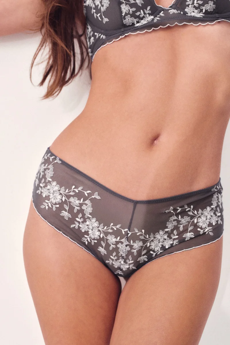 H&M Embroidered mesh hipster briefs