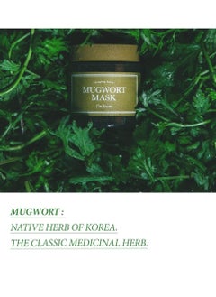 I'M FROM I'M FROM Mugwort Mask 110g, K-Beauty  - Image 2