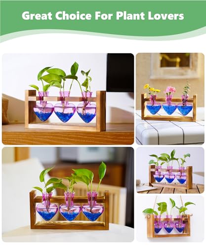 Nacome Plant Terrarium Propagation Stations: Mothers Day Gifts for Mom Plant Lovers Women Wife Daughter - 3 Bulb Glass Vase with Wooden Stand Tabletop for Hydroponics Home Garden Decor(Purple) - Image 3