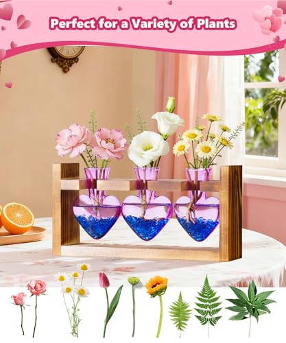 Nacome Plant Terrarium Propagation Stations: Mothers Day Gifts for Mom Plant Lovers Women Wife Daughter - 3 Bulb Glass Vase with Wooden Stand Tabletop for Hydroponics Home Garden Decor(Purple) - Image 5