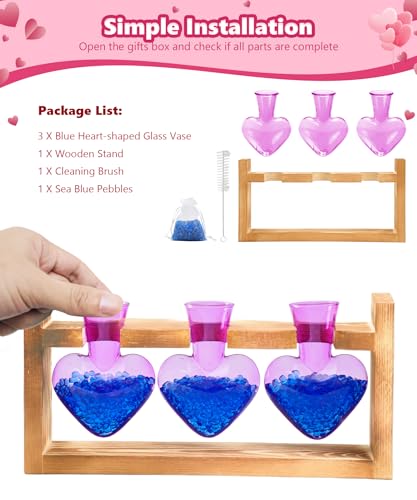 Nacome Plant Terrarium Propagation Stations: Mothers Day Gifts for Mom Plant Lovers Women Wife Daughter - 3 Bulb Glass Vase with Wooden Stand Tabletop for Hydroponics Home Garden Decor(Purple) - Image 4