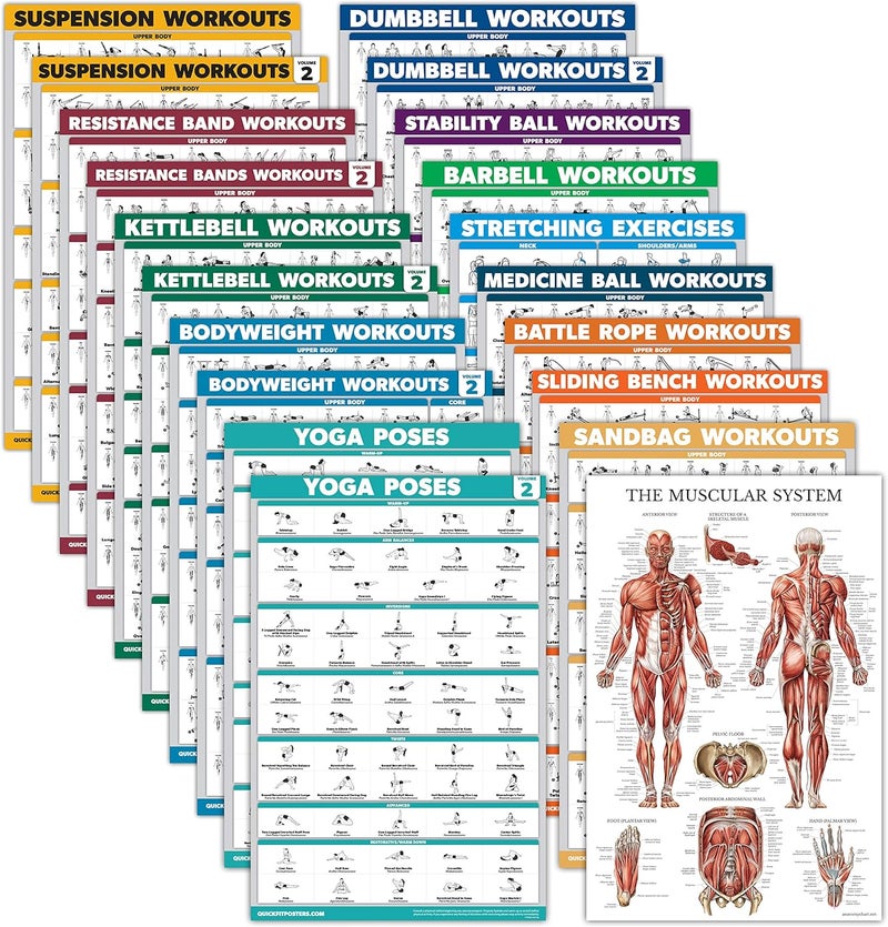 Palace Learning 20 Pack - Exercise Poster Set, Dumbbell, Suspension, Battle Rope, Stretching, Bodyweight, Barbell, Yoga, Exercise Ball, Muscular, Kettlebell, Resistance Bands and More (LAMINATED, 18" x 24") - Image 1