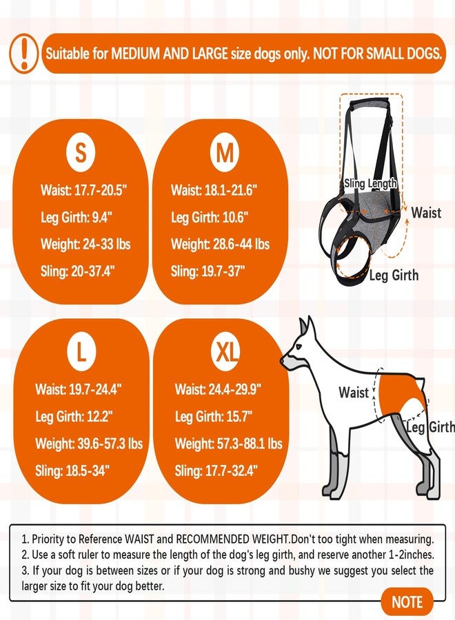 ROZKITCH Dog Lift Harness, Pet Rear Support Aid Veterinarian Approved Sling for Old K9 Help with Poor Stability, Back Leg Hip Disabled Joint Injury Elderly Arthritis ACL Rehabilitation Rehab Grey L - Image 2