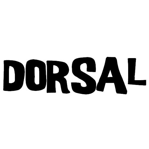 DORSAL Surf Locking Straps Theft Resistant Reinforced Roof Rack Pad Tie Downs Steel/Nylon 10' Feet Black - Image 5