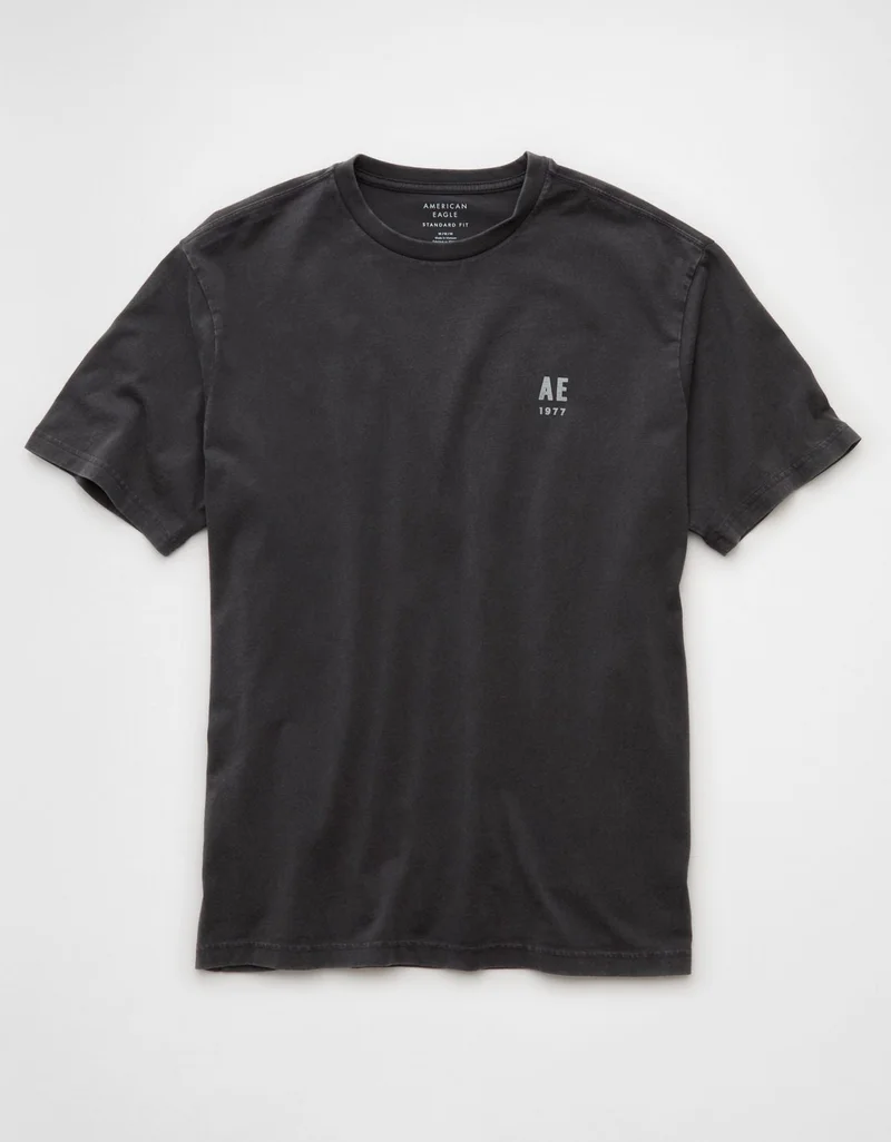 AE Logo Graphic T-Shirt