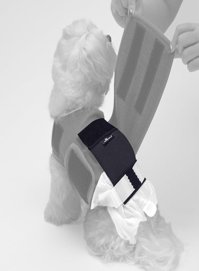 Paw Inspired Stay Put Dog Diaper Holder for Use with Calming Anxiety Vest (Sold Separately), Compatible with Disposable or Washable Dog Diapers - Image 1