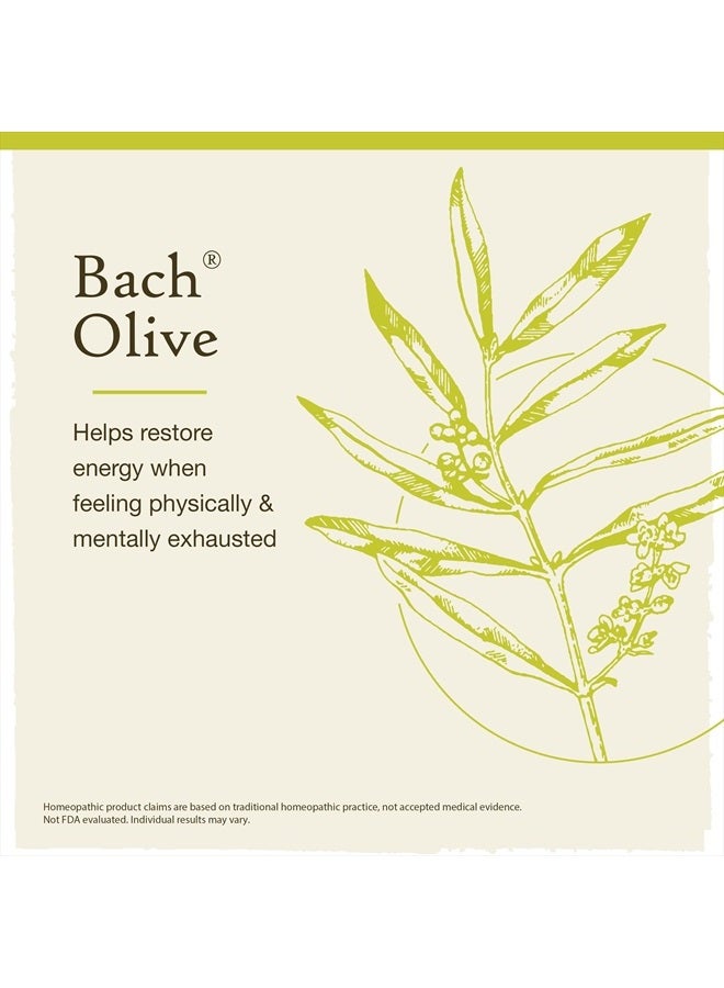 Bach Original Flower Remedies, Olive for Energy, Natural Homeopathic Flower Essence, Holistic Wellness and Stress Relief, Vegan, 20mL Dropper  - Image 3