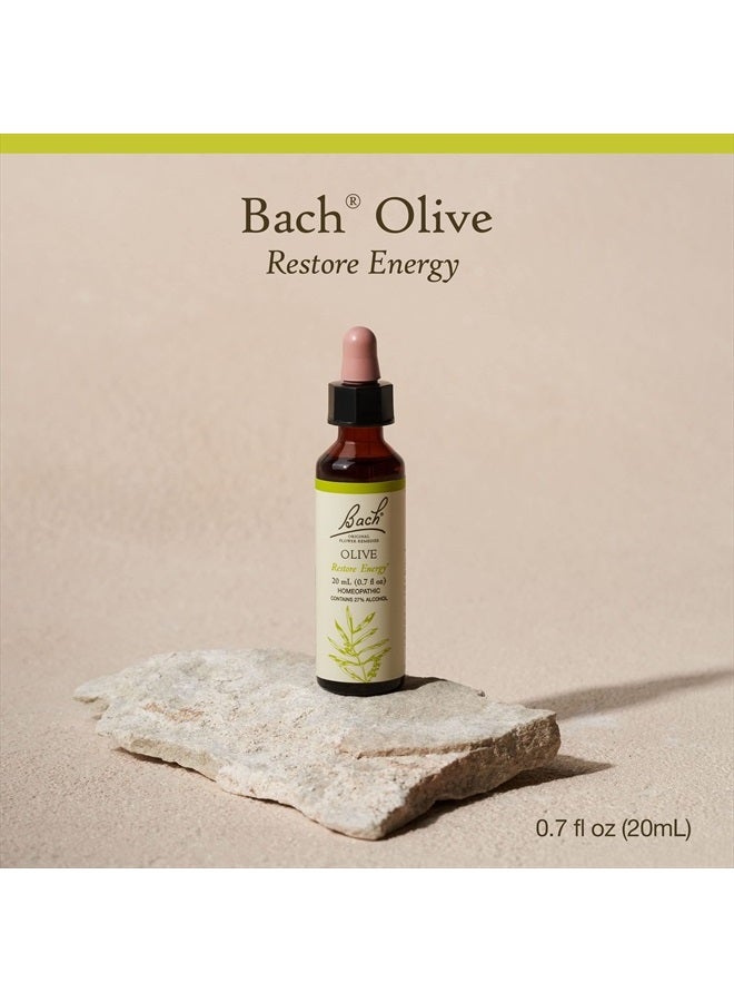 Bach Original Flower Remedies, Olive for Energy, Natural Homeopathic Flower Essence, Holistic Wellness and Stress Relief, Vegan, 20mL Dropper  - Image 2
