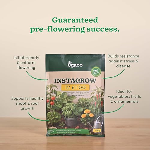 Ugaoo InstaGrow NPK 12:61:00 Fertilizer (250g) | High Phosphorus Water-Soluble Fertilizer for Fast Root & Flower Growth | Ideal for Fruits & Vegetables - Image 4