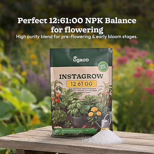 Ugaoo InstaGrow NPK 12:61:00 Fertilizer (250g) | High Phosphorus Water-Soluble Fertilizer for Fast Root & Flower Growth | Ideal for Fruits & Vegetables - Image 2