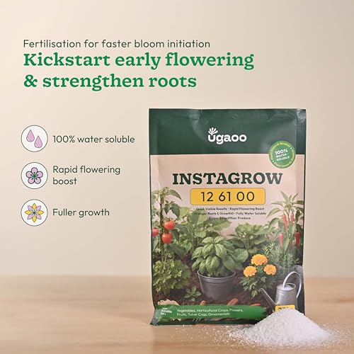 Ugaoo InstaGrow NPK 12:61:00 Fertilizer (250g) | High Phosphorus Water-Soluble Fertilizer for Fast Root & Flower Growth | Ideal for Fruits & Vegetables - Image 3