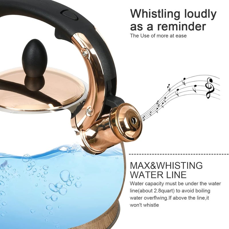 LUXGRACE Stainless Steel Whistling Tea Kettle with Metal Capsulated Bottom for Quick Heat Distribution 2.8 Quart - Image 3