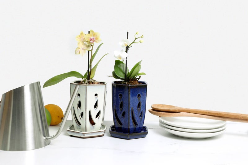 rePotme 4 x 6 inch Ceramic Orchid Pot (White Diamond) - Hexagon Orchid Pot with Holes - Image 4